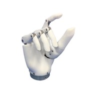 Bionic Hand